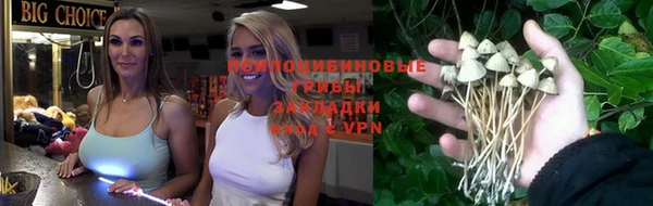 jwh Новодвинск