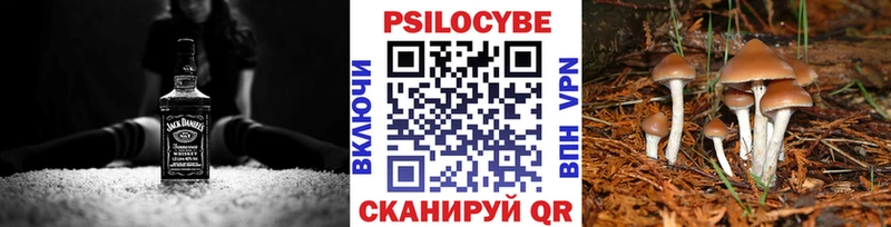 Галлюциногенные грибы Cubensis  Пугачёв 