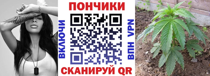 hydra ССЫЛКА  Пугачёв  Каннабис LSD WEED  цена наркотик 